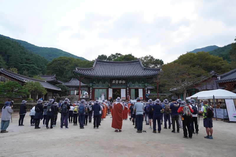 천은사를 참배하는 순례대중 (4)
